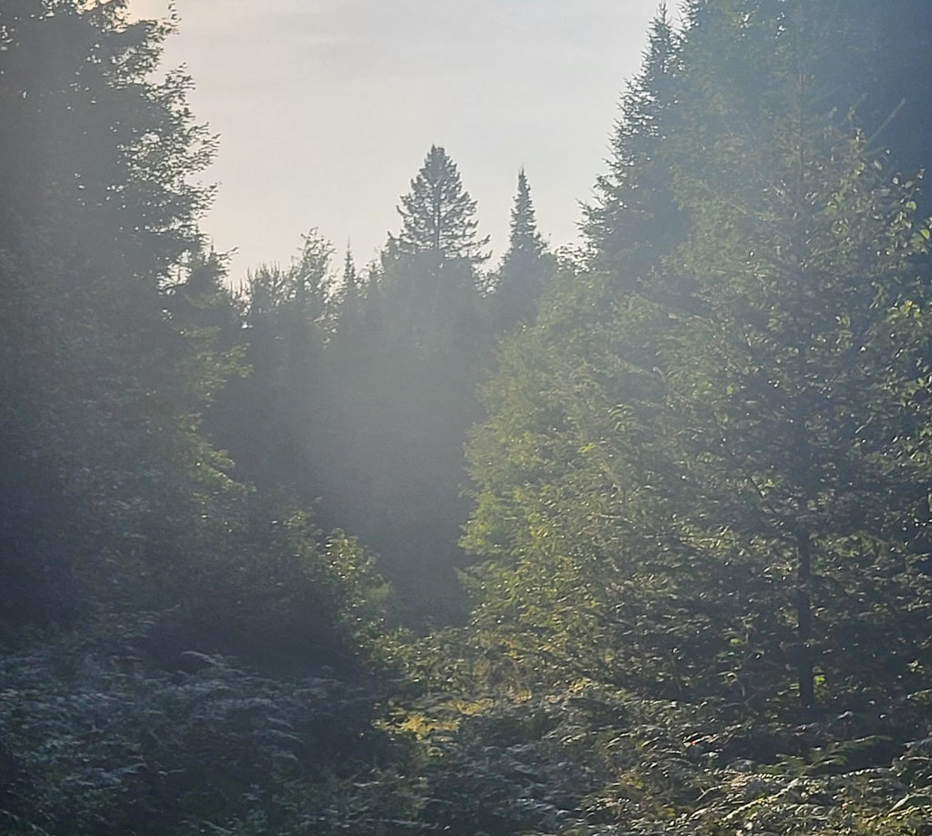 haze2.jpg