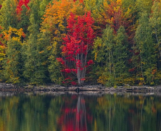 Town of Huntsville highlights fall programs