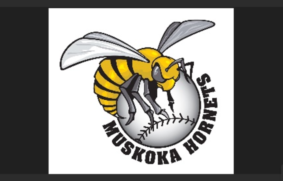 OSbrfpji-Muskoka-Hornets-1024×614-ED.png