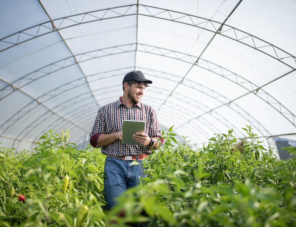 yW03uUvv-small-business-stock-photo.jpg