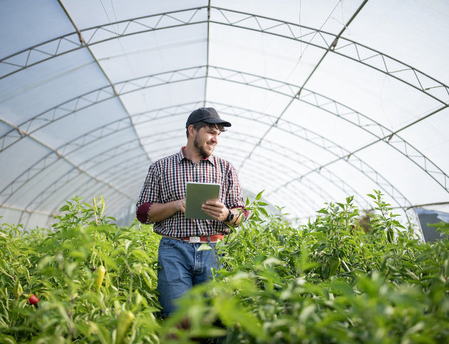 Federal government launches new response to protect Northern Ontario businesses