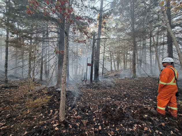 Huntsville/Lake of Bays firefighters help battle wildfire in Gravenhurst