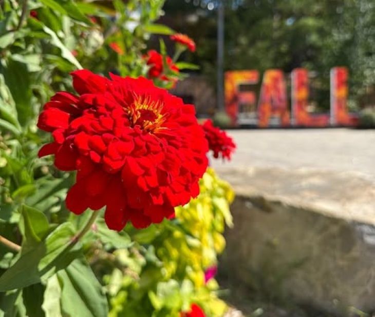 flowers-edited.jpg