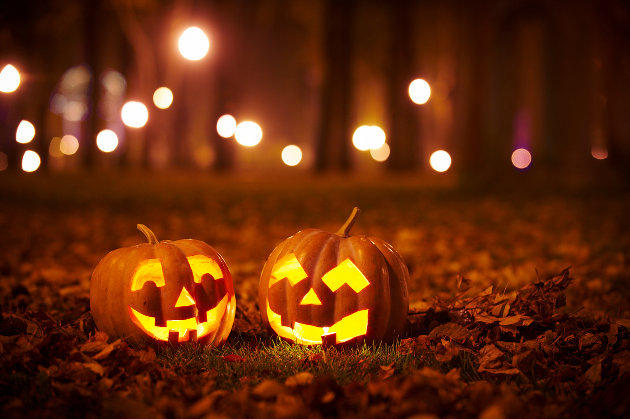 Trick or Treat on the Great Pumpkin Trail at Muskoka Heritage Place