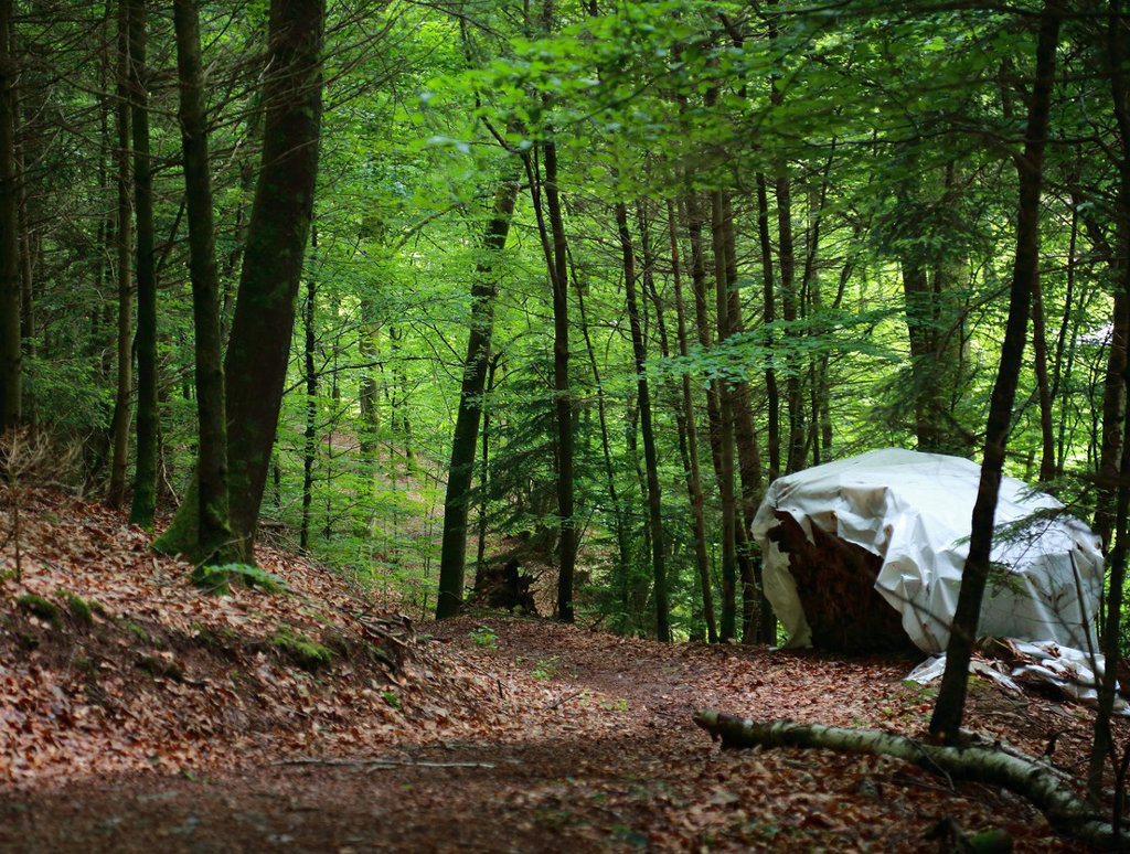 tent-homeless.jpg