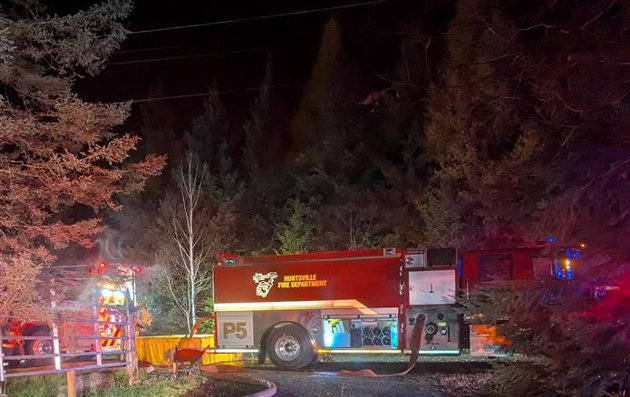 Rodent nest causes fire