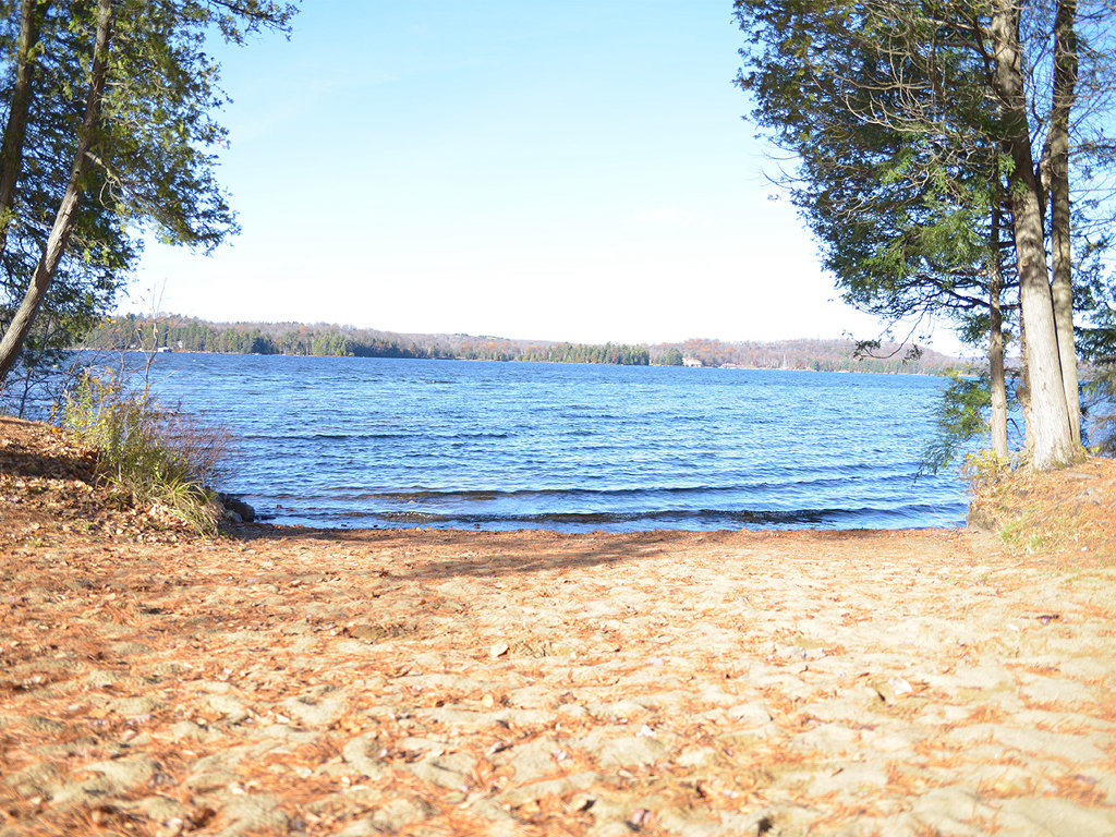 Norway-New-Beach.jpg