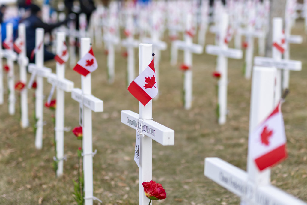 Remembrace-crosses.jpg