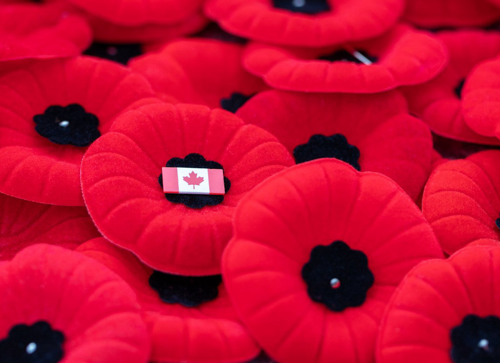 poppies.jpg