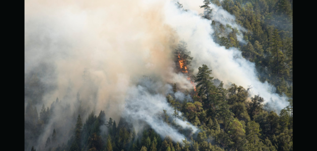 Province says it is ready for the 2026 wildland fire season