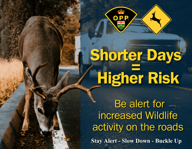 OPP remind motorists to drive safe this winter and watch for wildlife
