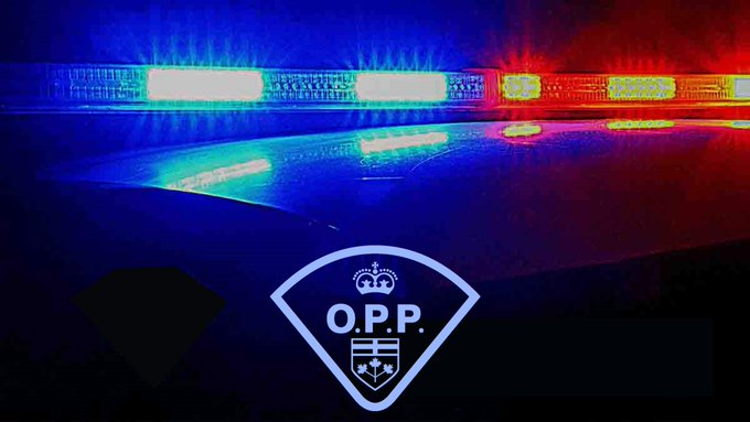 dtSVWKS3-opp-newest.jpg