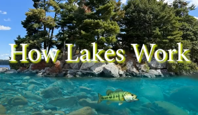 Free webinar: How Lakes Work