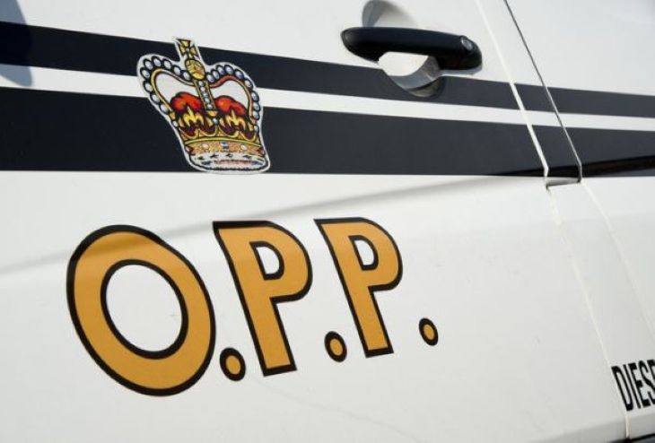 OPP.jpg