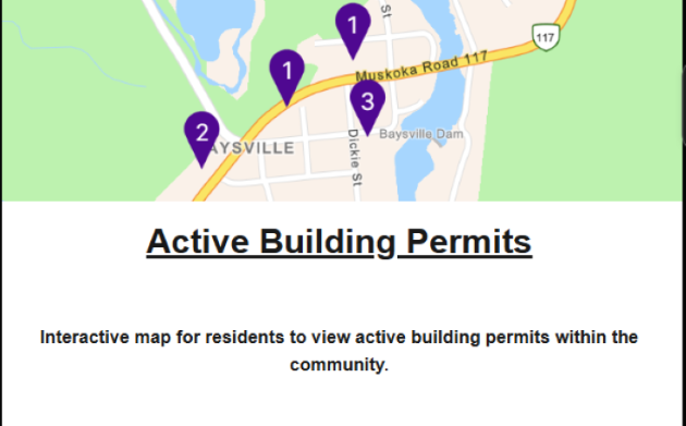 Township of Lake of Bays unveils first public mapping platform