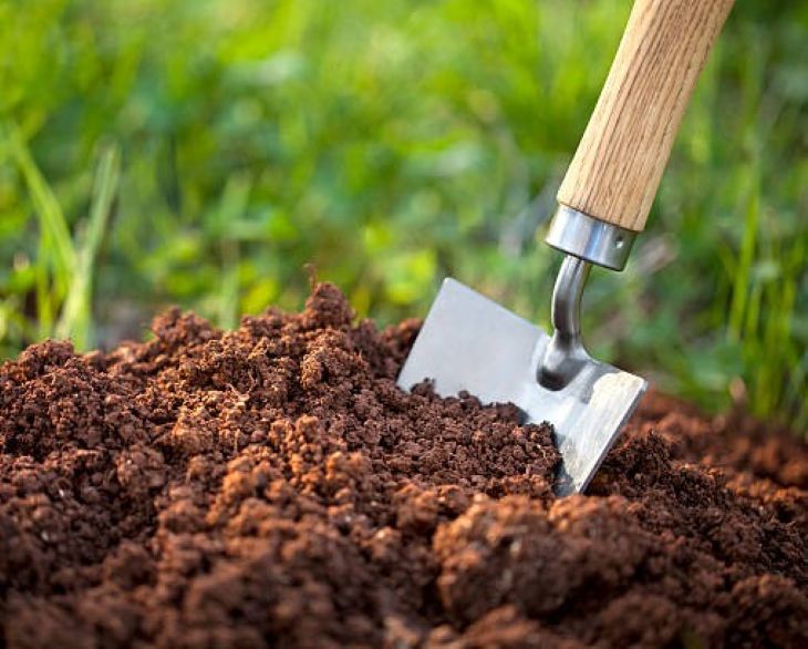 Compost-E.jpg
