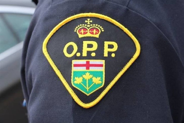 Criminal harassment charge laid following disturbance on Brunel Road in Huntsville