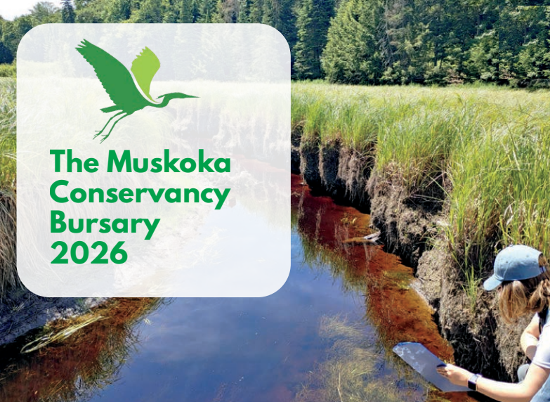 Muskoka-Conservancy-bursary.png