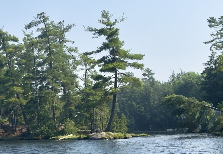 Muskoka-Lakes.jpg