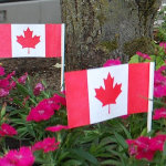 Celebate Canada Day in Port Sydney