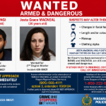 Niagara Falls homicide suspects on the lam may have Orillia area connection
