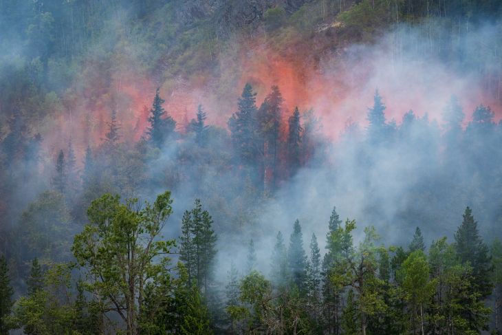 Wildfire.jpg