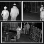 Bracebridge OPP seek help identifying suspects in break-and-enter